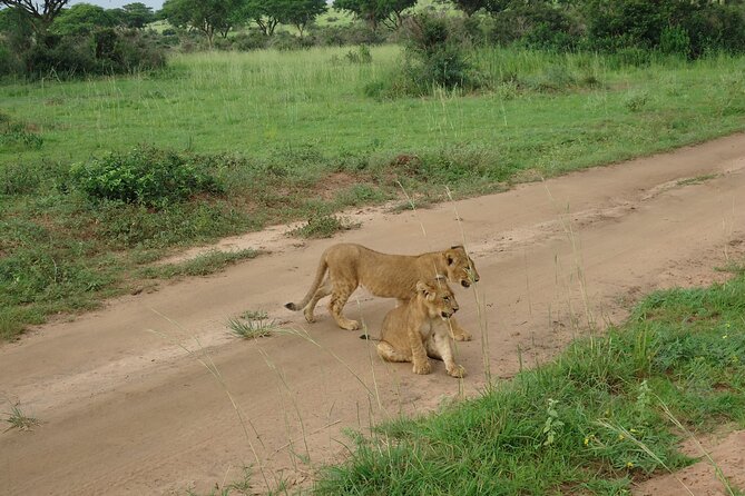 9 day Gorilla Trekking, Chimpanzee & Wilderness Safari (mid-range) - Six hours on the road to Fort Portal and Kibale