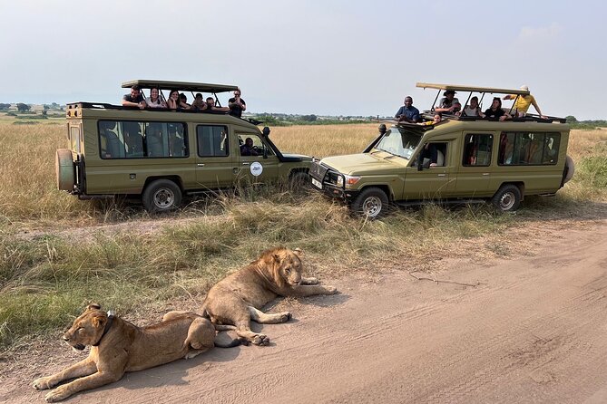 9 Days Uganda Wildlife Safaris, Gorilla Trekking & Hiking - Day 1: A soft landing at Entebbe’s Hotel No. 5