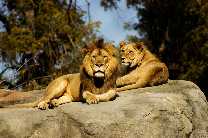 9 Days Uganda Wildlife Safaris, Gorilla Trekking & Hiking - Day 4: A long transfer through western Uganda to Kibale