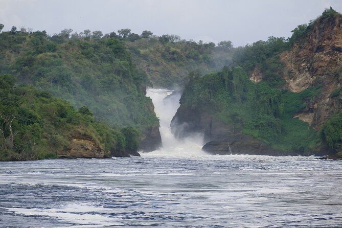 9 Days Uganda Wildlife Safaris, Gorilla Trekking & Hiking - Day 5: Chimpanzees in Kibale Forest