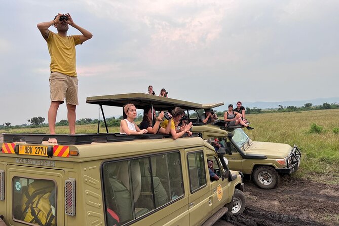 9 Days Uganda Wildlife Safaris, Gorilla Trekking & Hiking - Day 8: The main event, gorilla trekking in Bwindi