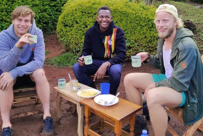 Coffee Tour Experience - From Mount Elgon Coffee Tree to Morning Cup