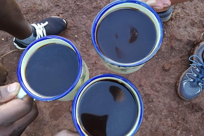 Coffee Tour Experience - Meeting William Near Sipi Falls