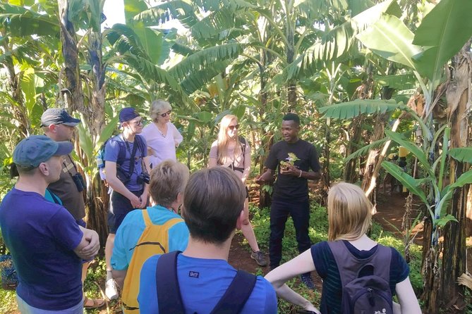 Coffee Tour Experience - What the $15 Price Really Covers