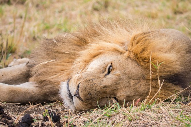 Eight days cultural and wildlife tour in Uganda - What the $2,256.42 price offers in practical terms