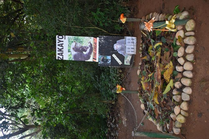 Entebbe Eco Tour - Full Day - Uganda Reptile Village and its community purpose