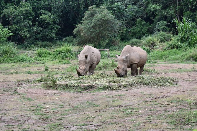 Entebbe Eco Tour - Full Day - Lunch, transport, and what the $270 price covers