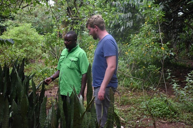 Entebbe Eco Tour - Full Day - Two hours among the old trees at Entebbe Botanical Gardens
