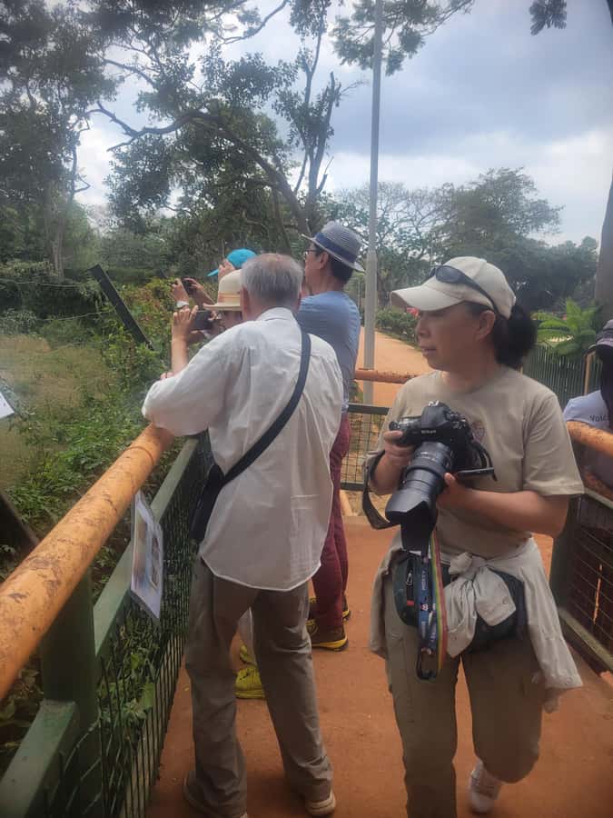 Entebbe: Female-Led Guided Walking Tour - Starting at Victoria Mall with a clear local introduction