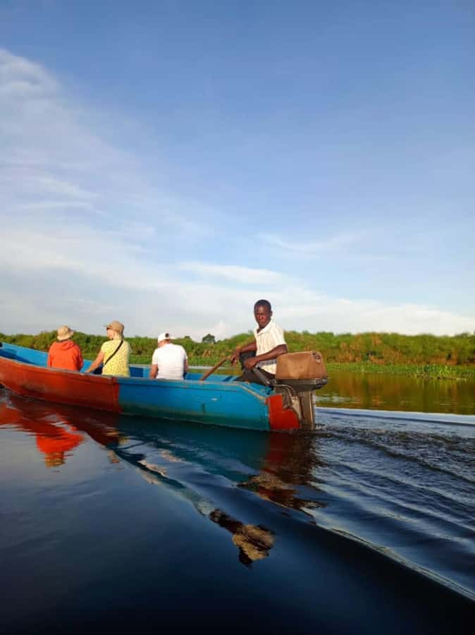 Entebbe: Mabamba Swamp Shoebill Tracking Boat Tour - Bird species beyond the Shoebill