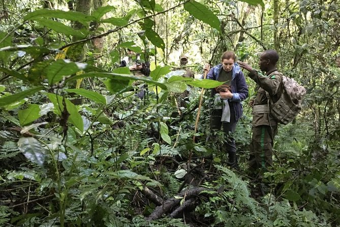 Experience Chimpanzee Trekking in Budongo Forest - A private guide can change the feel of the walk