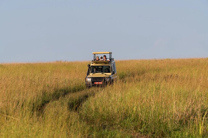 Exploring The Mighty Falls In Uganda - Tracking rhinos at Ziwa Rhino Sanctuary