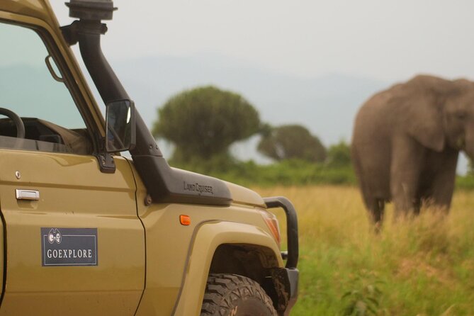 Exploring The Mighty Falls In Uganda - Meals, timing, and the practical side