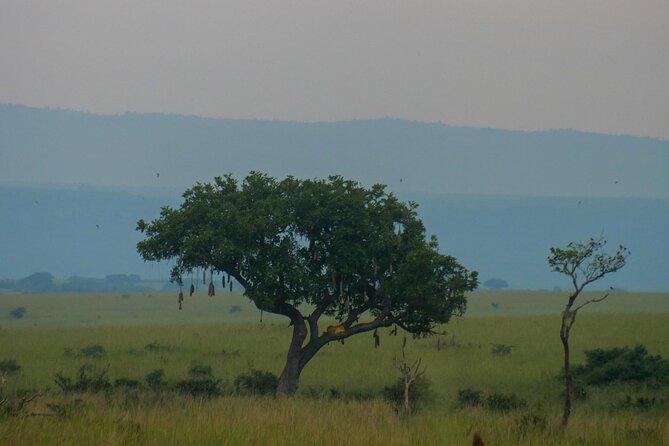 Exploring The Mighty Falls In Uganda - Murchison Falls and the Nile’s narrow gorge