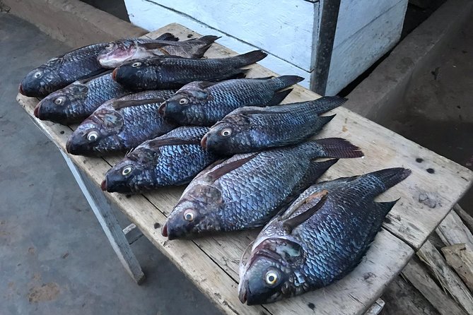 Fishing Village Food Tour & Luwombo Stop - What the private price really covers
