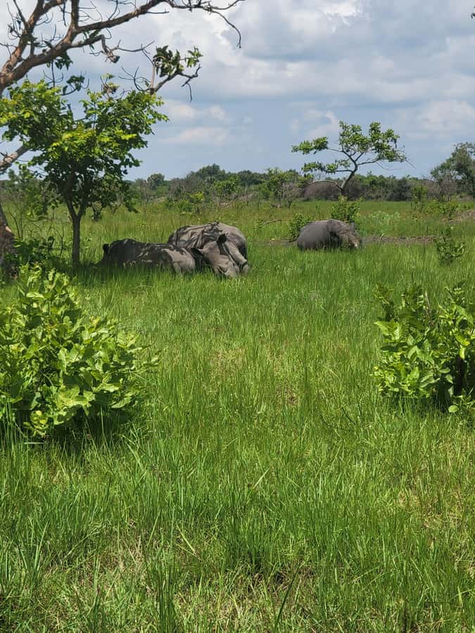 From Kampala: Ziwa Rhino Sanctuary Day Tour with Lunch - What to pack for the rhino trek