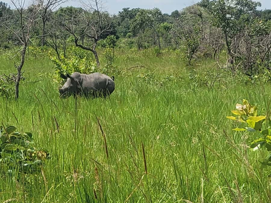 From Kampala: Ziwa Rhino Sanctuary Day Tour with Lunch - Entering the 7,000-hectare sanctuary