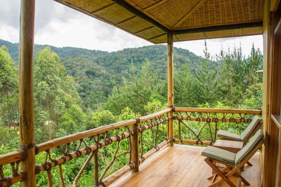 From Kigali: 2-Day Gorilla Trek: Bwindi Nat Park - Day 2: The early start at the park headquarters