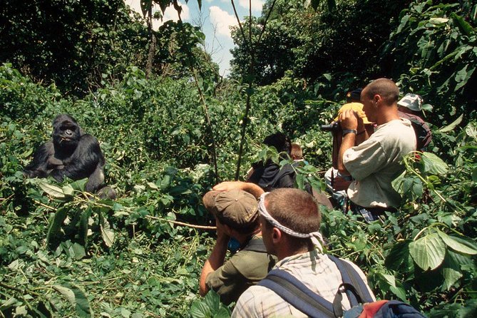 Gorilla Tracking & Batwa Culture Experience - What the $2,840 price really buys