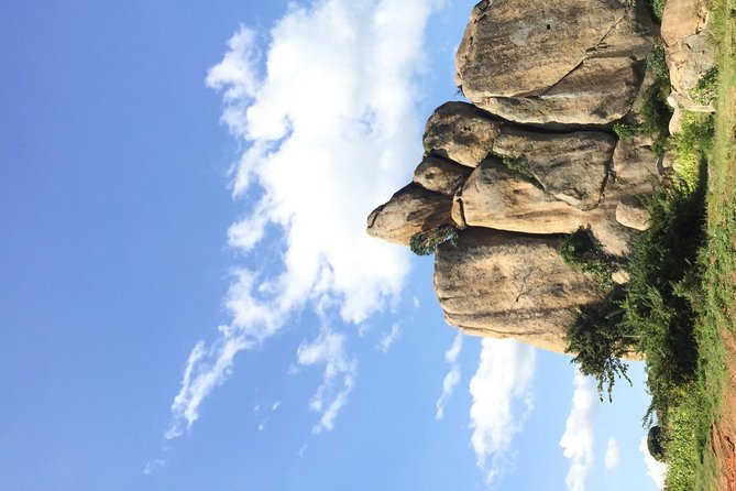 Gorilla trekking - Booking advice for a smoother trip
