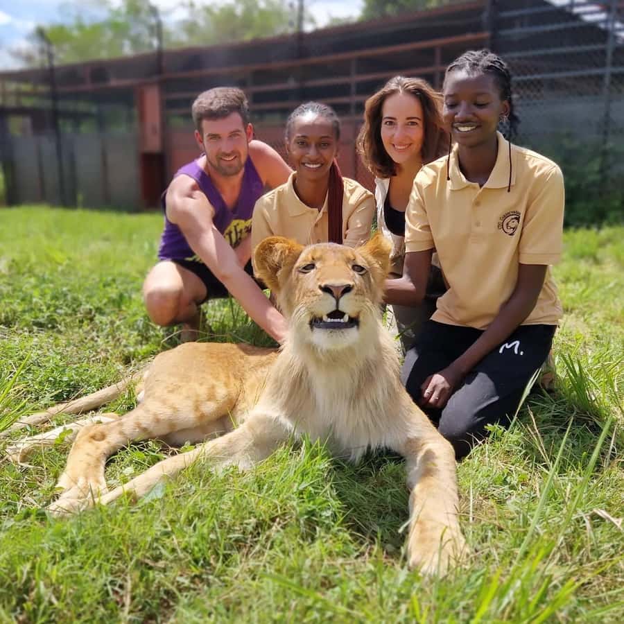 Kampala: Conservation Centre for Wildlife Guided Tour - Meeting the lions and lion cubs