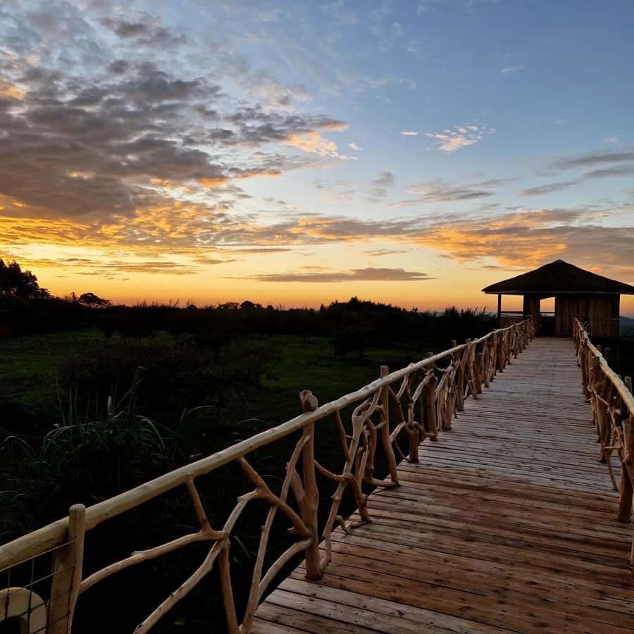 Kampala: Conservation Centre for Wildlife Guided Tour - The conservation question and the value of close contact
