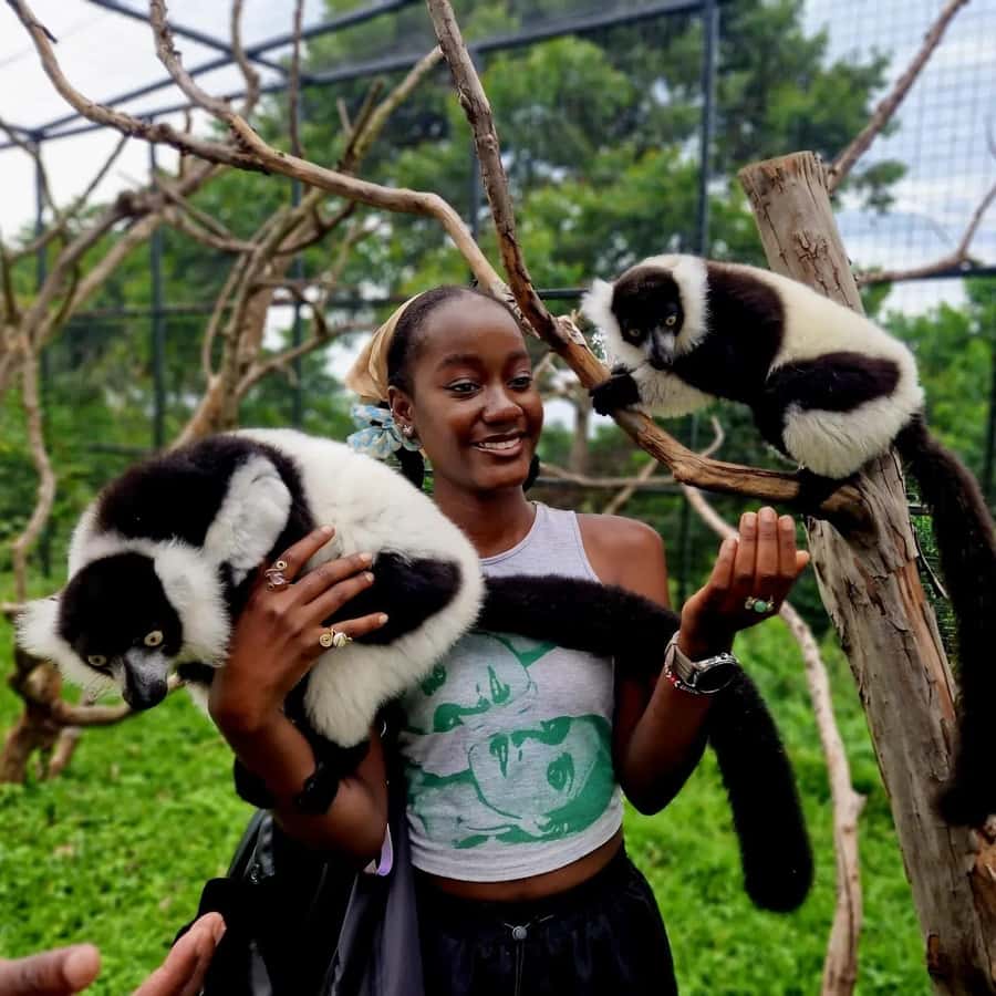 Kampala: Conservation Centre for Wildlife Guided Tour - Leaving Kampala for Mityana District