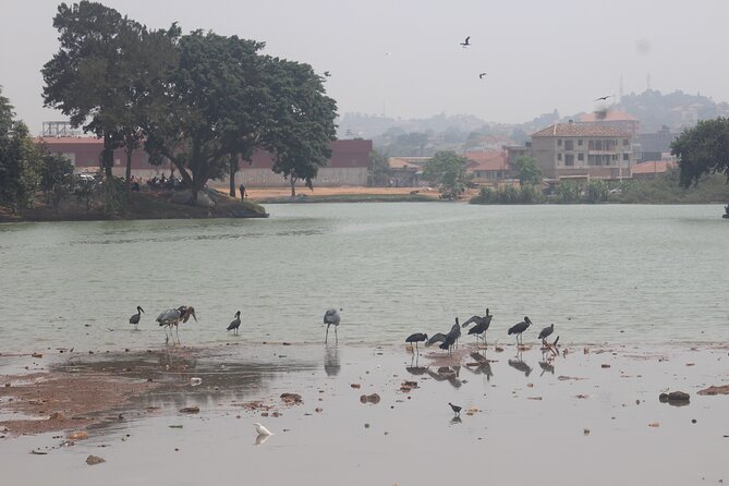 Kampala cultural tours - Seven hours with a small group and private transport