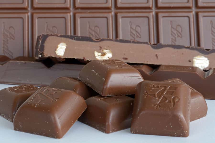 Kampala: Hands-On Chocolate Making Experience - A walk through the cocoa garden