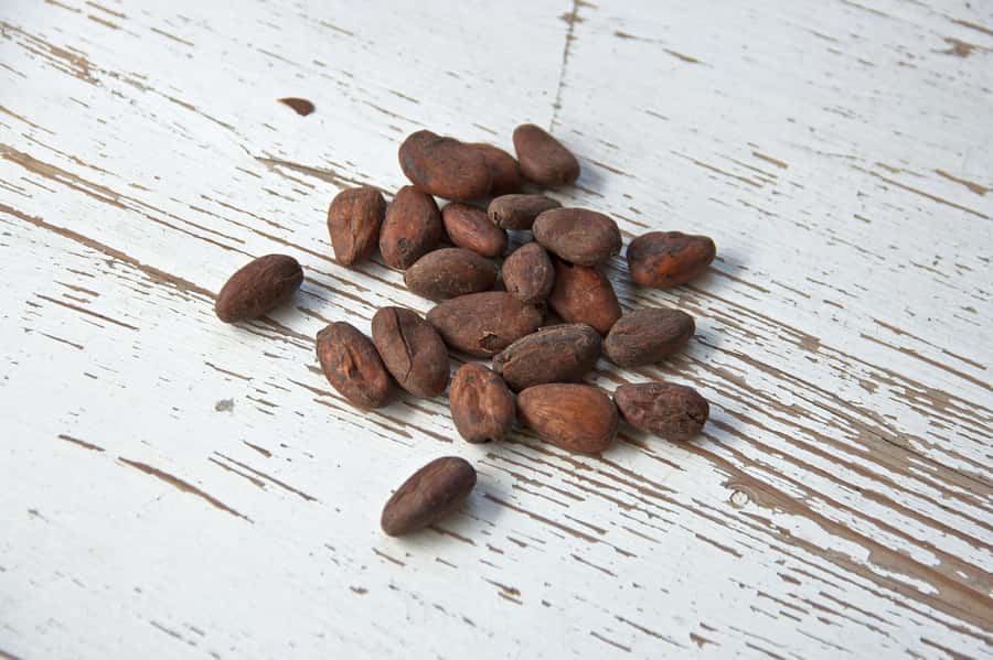 Kampala: Hands-On Chocolate Making Experience - Meeting at Moonbean Chocolate in Bugolobi