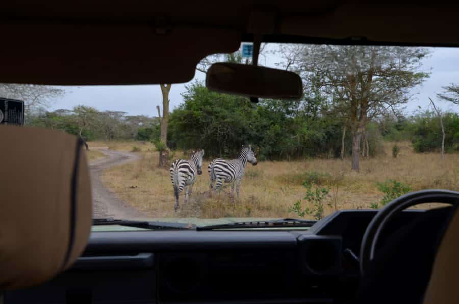 Lake Mburo National Park with Equator, Game Drive & Cruise - The Equator stop at Kayabwe