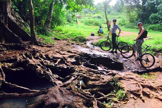 Lake Victoria Island Cycling Tour from Kampala - Bikes, helmets, and the guide’s role