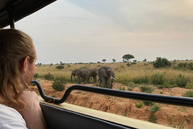 Murchison Falls National Park - 3 Days - Why Murchison Falls works so well in three days