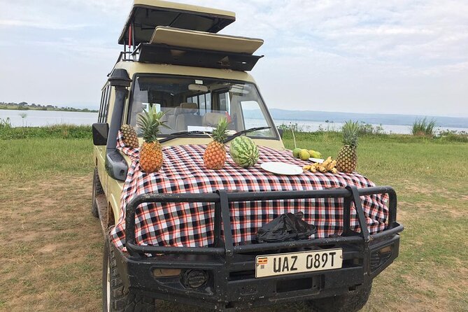 Murchison Falls National Park - 3 Days - Day 2: Game drives in the northern park