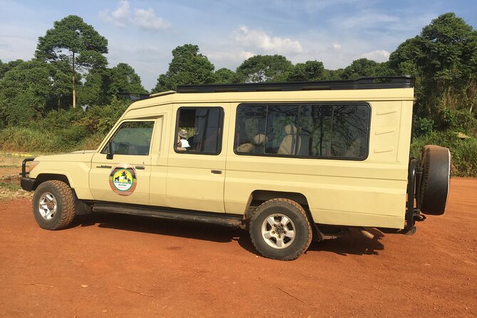 Murchison Falls National Park - 3 Days - Wildlife, birding, and realistic expectations