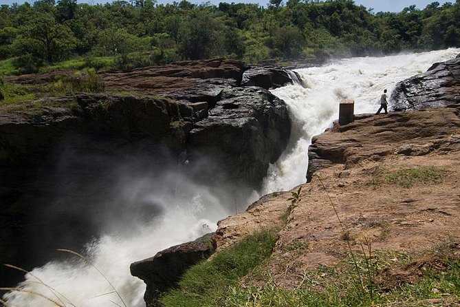 Murchison Falls National Park - 3 Days - Day 1: Entebbe to Ziwa Rhino and Wildlife Ranch