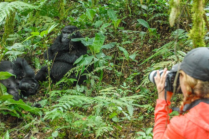 Private 3 Day Gorilla Trekking Safari in Uganda - A Batwa community visit adds needed context