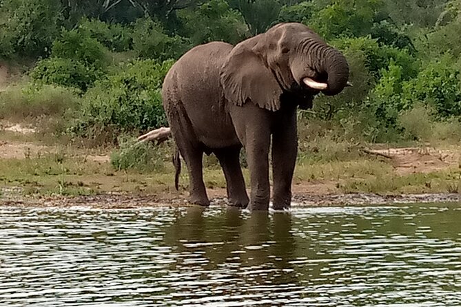 Private 3-Day Tour in Queen Elizabeth Park Safari - Reaching Queen Elizabeth National Park from Entebbe