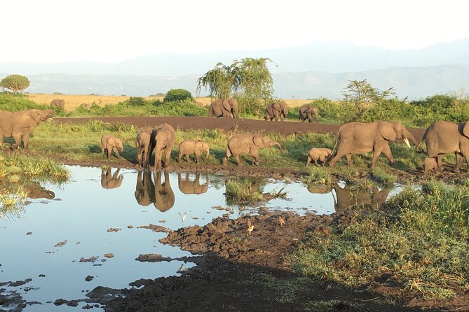 Queen Elizabeth Open Safari Jeeps for game drives. - Practical planning before you book