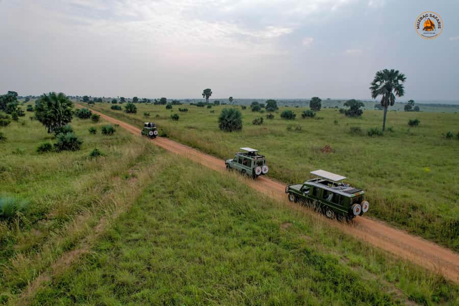 The Big5 3 Days Wildlife Adventure Experience in Uganda. - Key points at a glance
