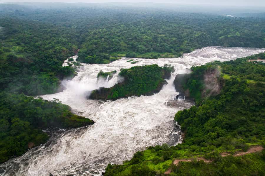The Big5 3 Days Wildlife Adventure Experience in Uganda. - Morning and evening game drives in Murchison Falls