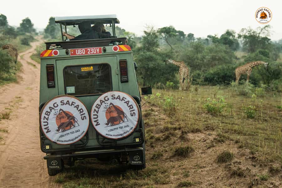 The Big5 3 Days Wildlife Adventure Experience in Uganda. - Practical preparation for the three days
