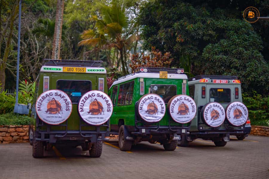 The Big5 3 Days Wildlife Adventure Experience in Uganda. - Tracking white rhinos at Ziwa Rhino Sanctuary