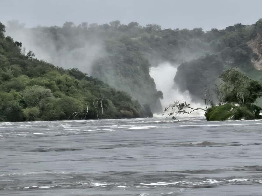 Uganda: 2-Day Murchison Falls Park Safari with Boat cruise - The 6:00 AM game drive