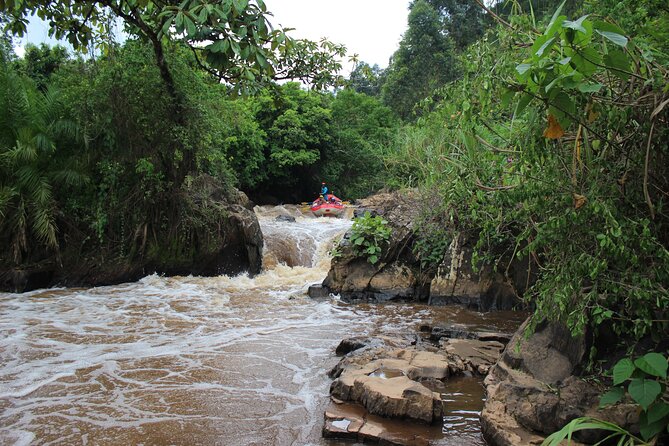 Uganda Jungle Rafting - Why the Birira River is worth your time