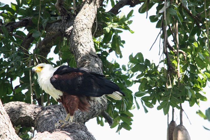 Uganda Wildlife Holiday - 8 Days - Day 4: Caves, crater lakes, and the Rwenzori Mountains